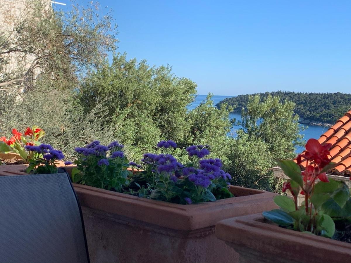 Leoni Dubrovnik